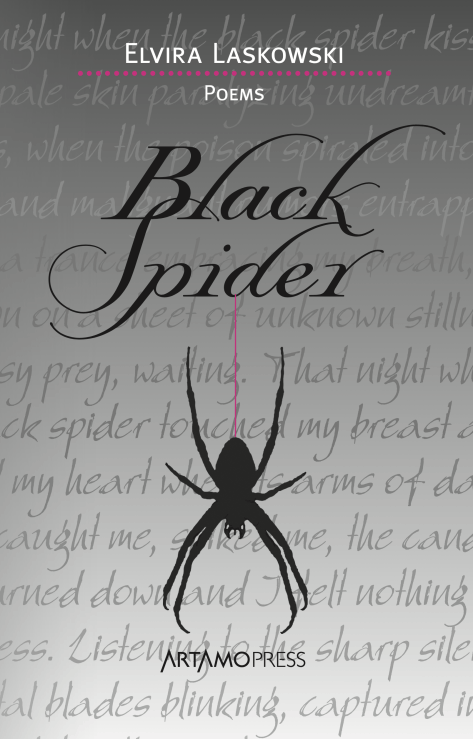 Black Spider Cover